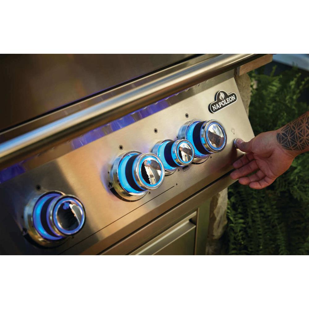 Barbecue da incasso Serie 700 BIG32RBPSS-1-IT Napoleon