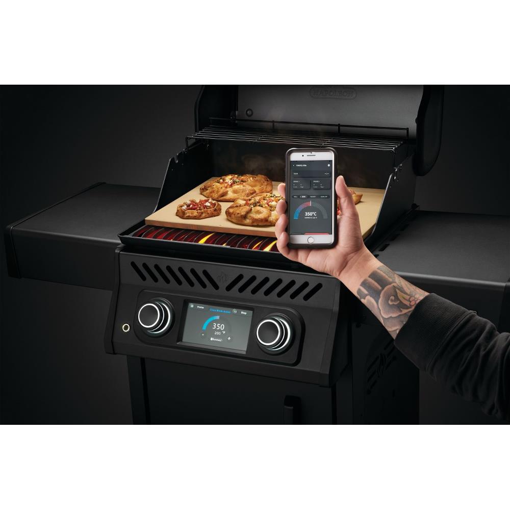 Barbeuce elettrico Modello REQ365MK-CE Napoleon